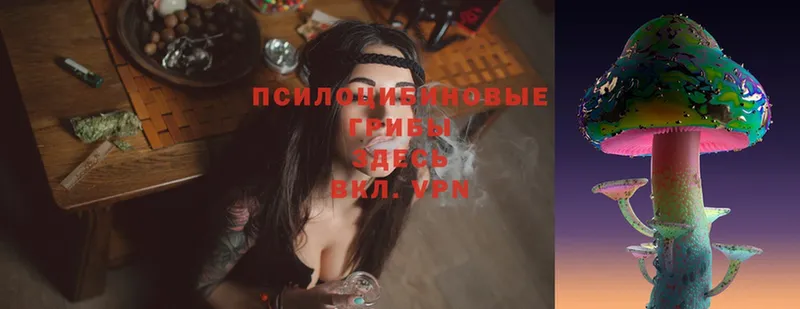 Галлюциногенные грибы Magic Shrooms  Давлеканово 